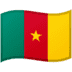 🇨🇲 flag: Cameroon display on Google